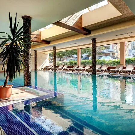 Festa Via Pontica 4* 포마리